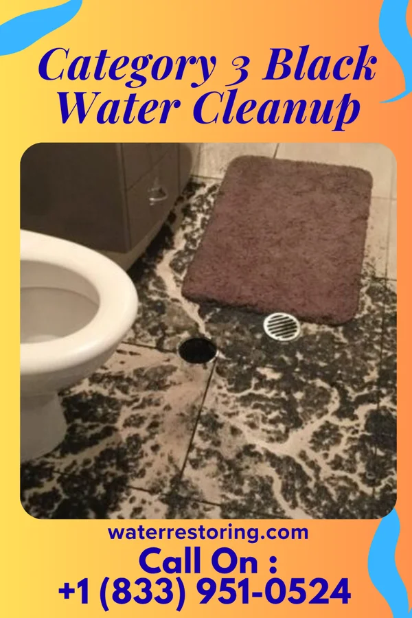 Category 3 Black Water Cleanup in Paoli, IN
